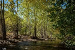 Creek Front Duplex | Close to Lifts with Hot Tub