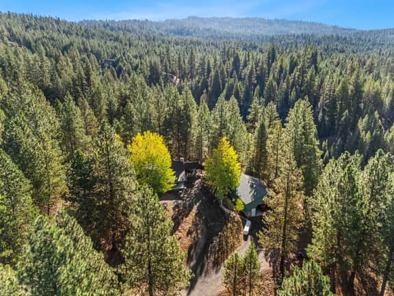 Cabin in the Pines | Fireplace + Near River