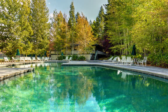 Warm Springs Ski Way Home | Pool, Pickleball, and More! - Image 1